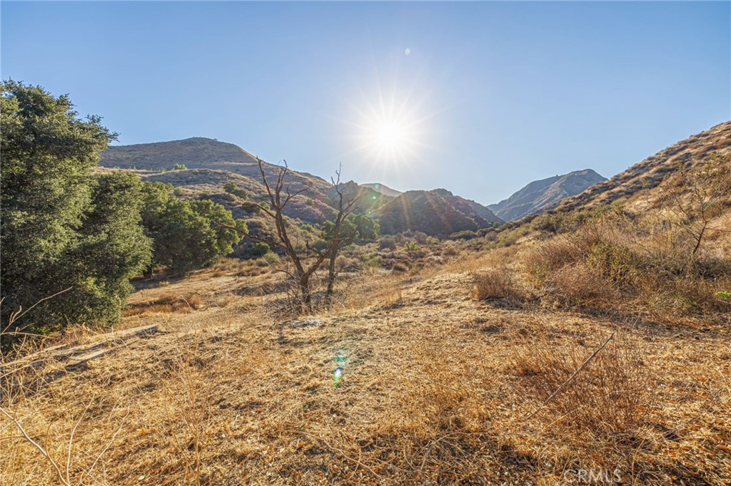 31400 San Martinez Road Castaic, CA 91384 - Photo 20 of 25 a view of a dry yard with mountains in the background