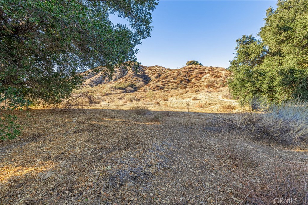 31400 San Martinez Road Castaic, CA 91384 - Photo 21 of 25 a view of a yard with a tree