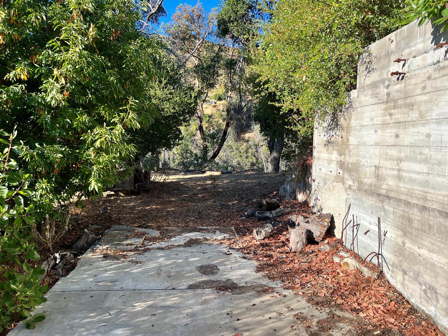 37811 Palo Colorado Road Carmel, CA 93923 - Photo 4 of 14 a view of a yard with plants and trees