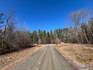 0 Ancient Acres Road Beaverdam, VA 23015 - Photo 12 of 15 a view of a backyard of the house