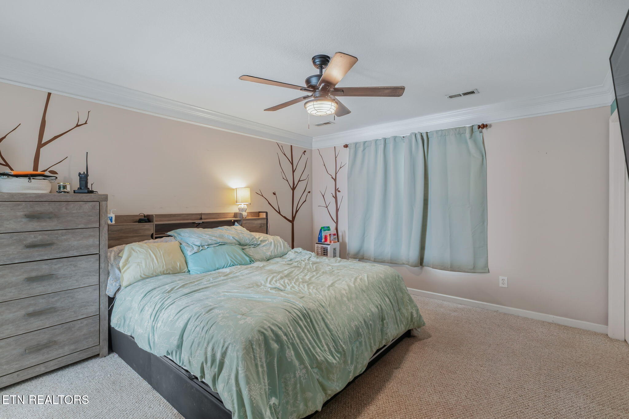 2135 Cedargreens Road Knoxville, TN 37924 - Photo 22 of 41 Master Bedroom