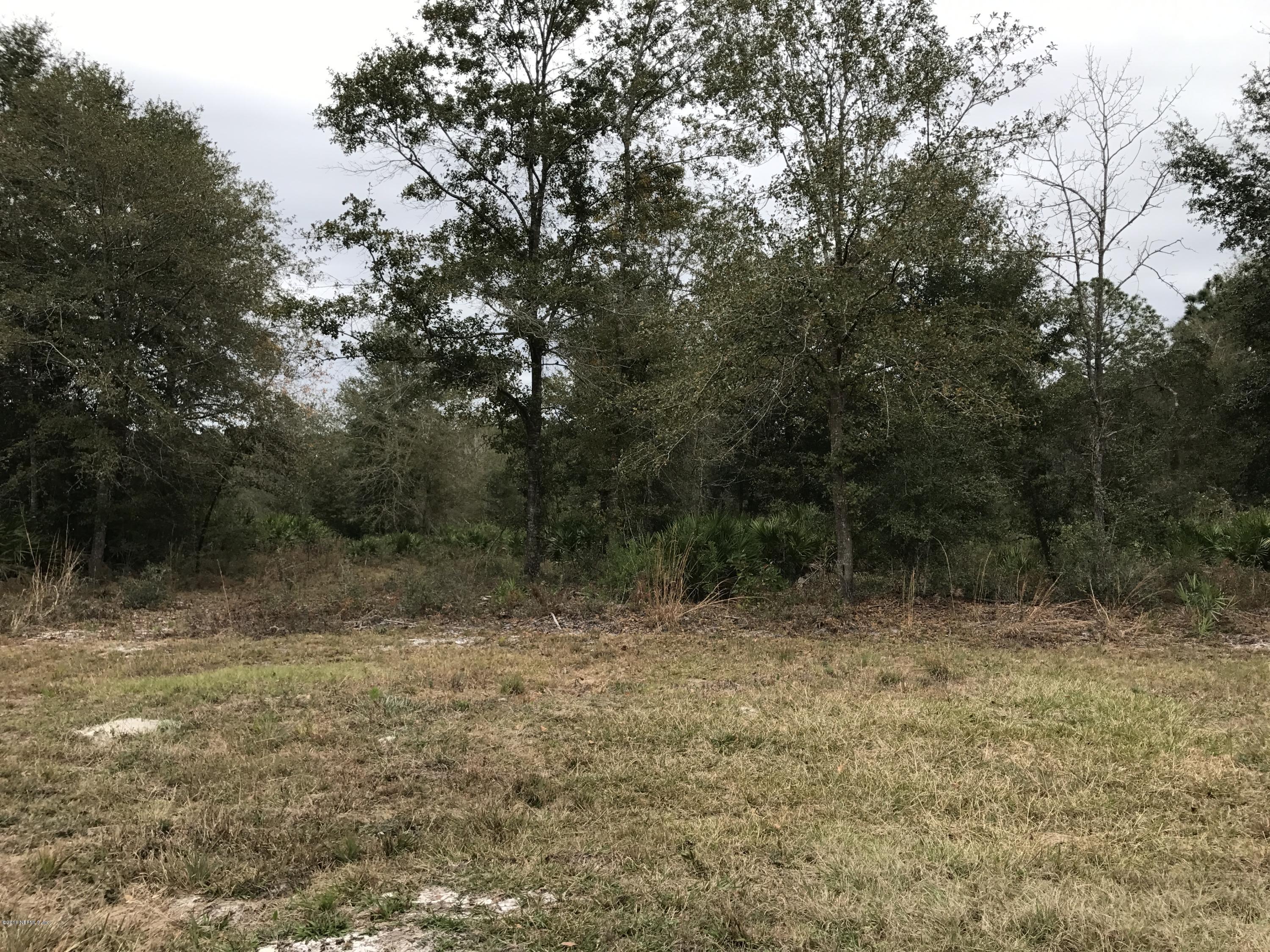 0 Long Horn Road Middleburg, FL 32068 - Photo 3 of 8 IMG_7508