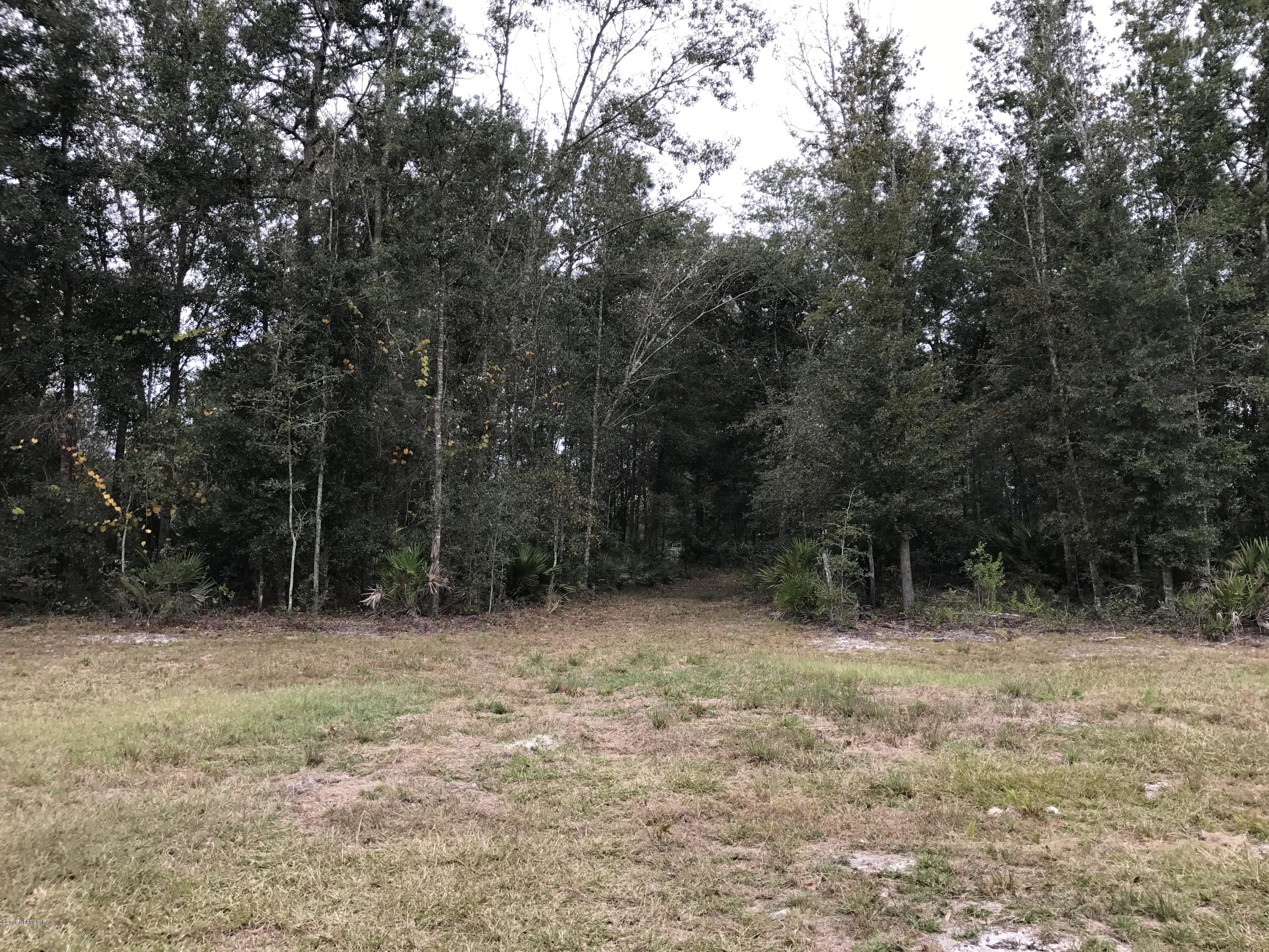 0 Long Horn Road Middleburg, FL 32068 - Photo 6 of 8 IMG_7512