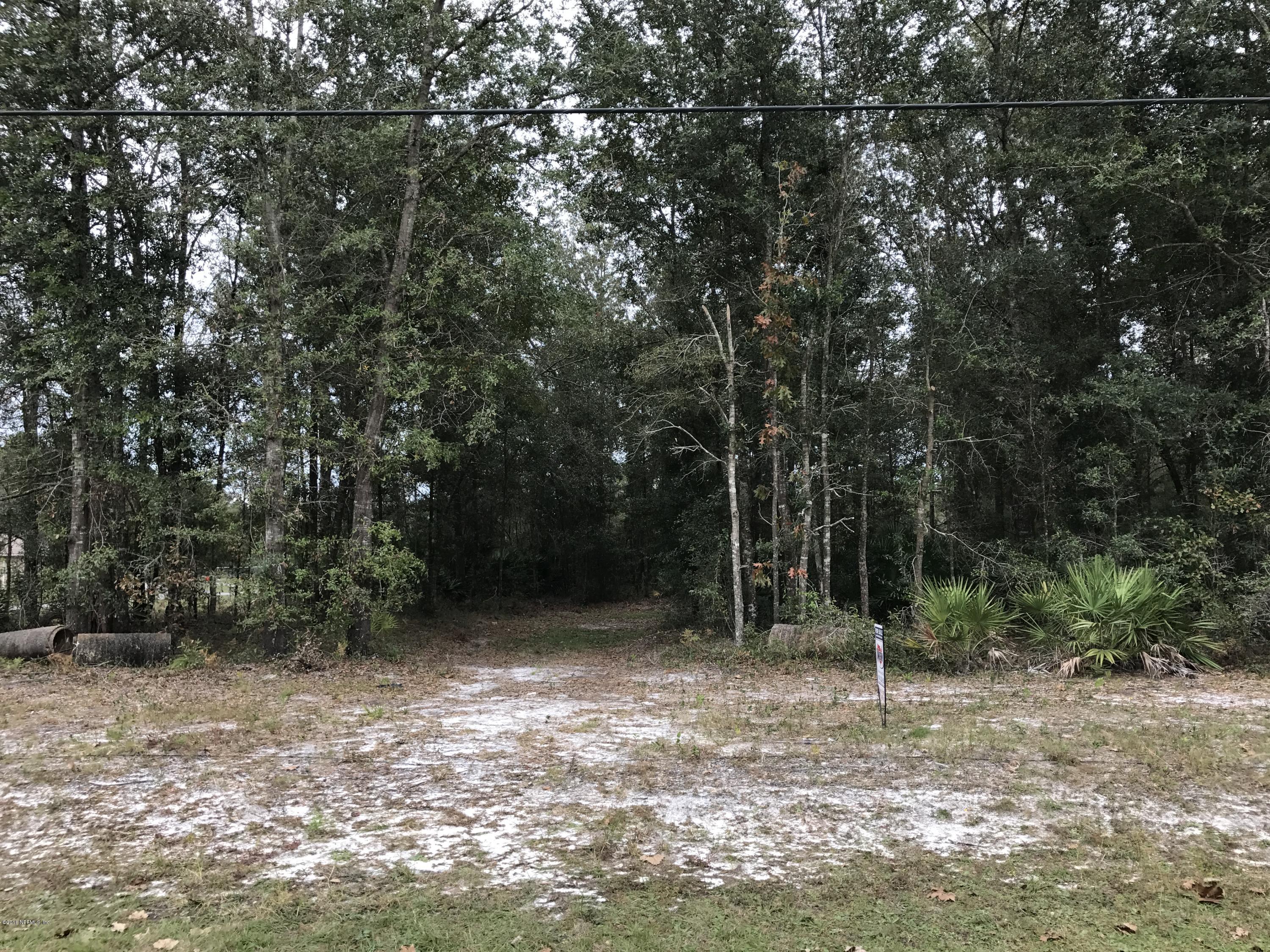 0 Long Horn Road Middleburg, FL 32068 - Photo 8 of 8 IMG_7514