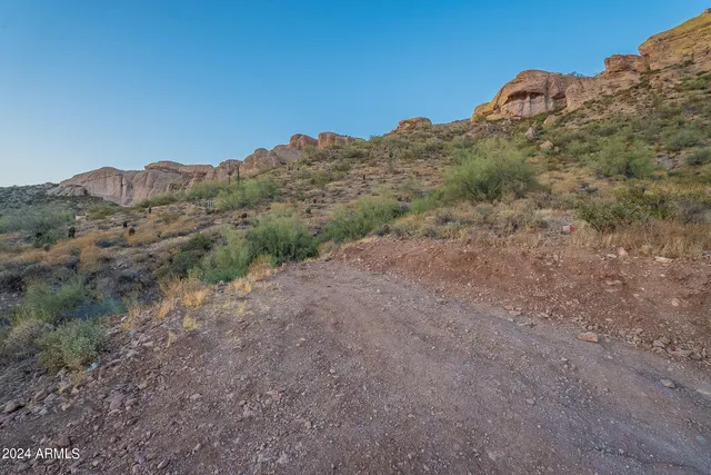 a view of a dry yard with mountains in the background
