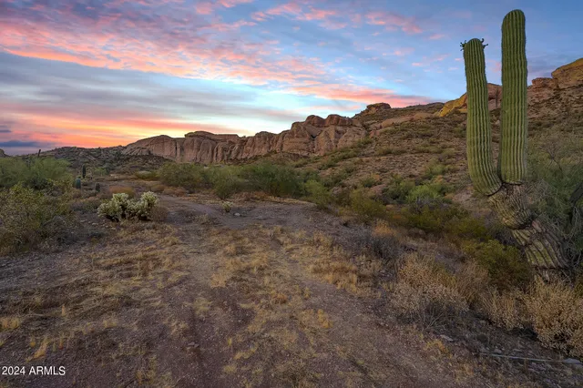 a view of a city with lush green forest