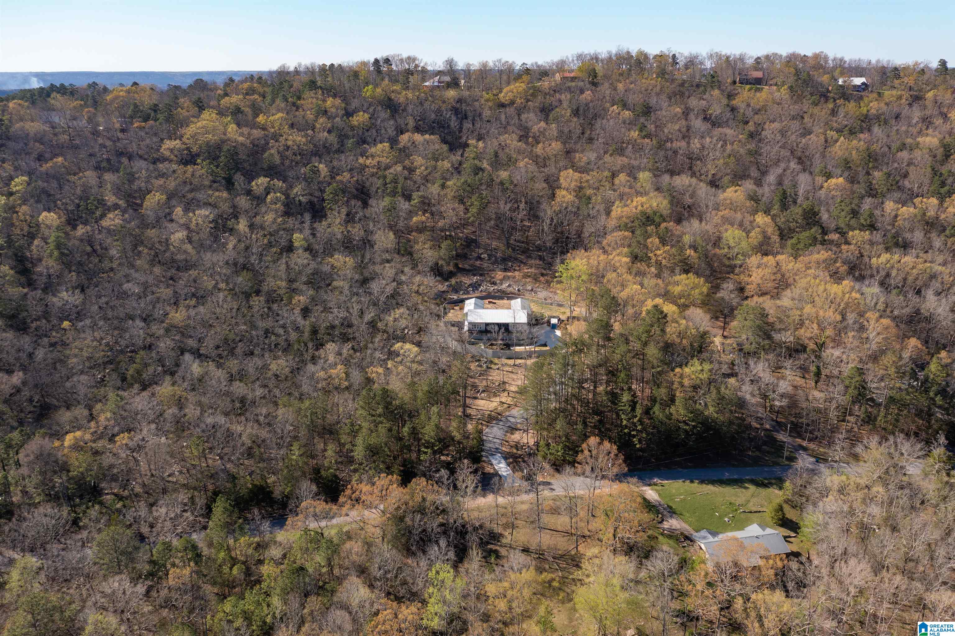 749 Mill Creek Road Warrior, AL 35180 - Photo 6 of 48
