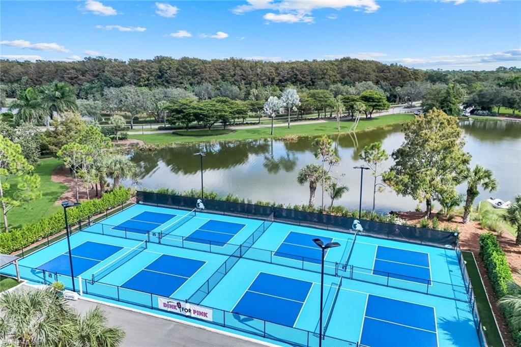 12832 Kinross Lane Naples, FL 34120 - Photo 35 of 45 Pickle ball