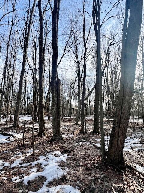 0 West Adams Road Hesperia, MI 49421 - Photo 65 of 74