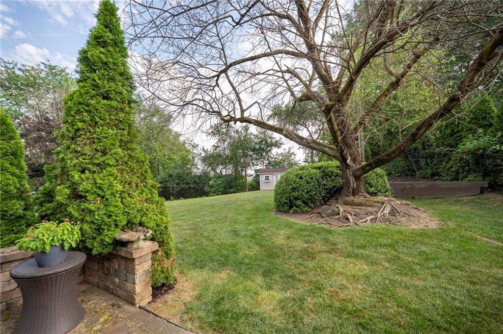 829 Ridgefield Avenue Pittsburgh, PA 15216 - Photo 48 of 50 a view of a backyard with potted plants and large trees
