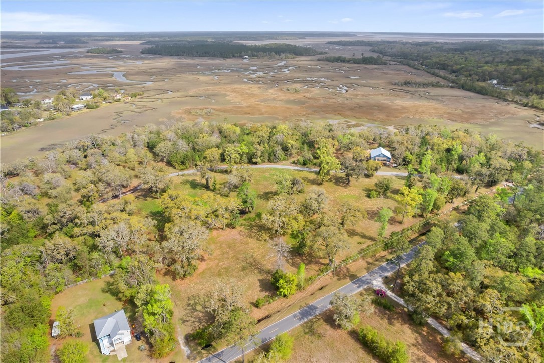 Lot 27 Cattle Hammock Road Midway, GA 31320 - Photo 12 of 30