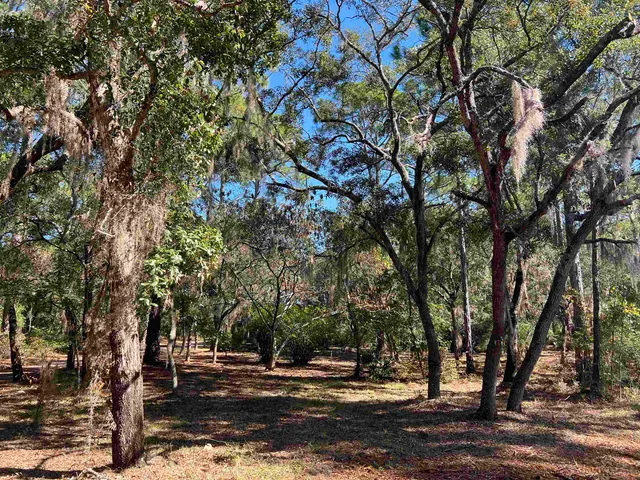 $239,900 | 84 Chattahoochee Street, Panacea, FL 32346