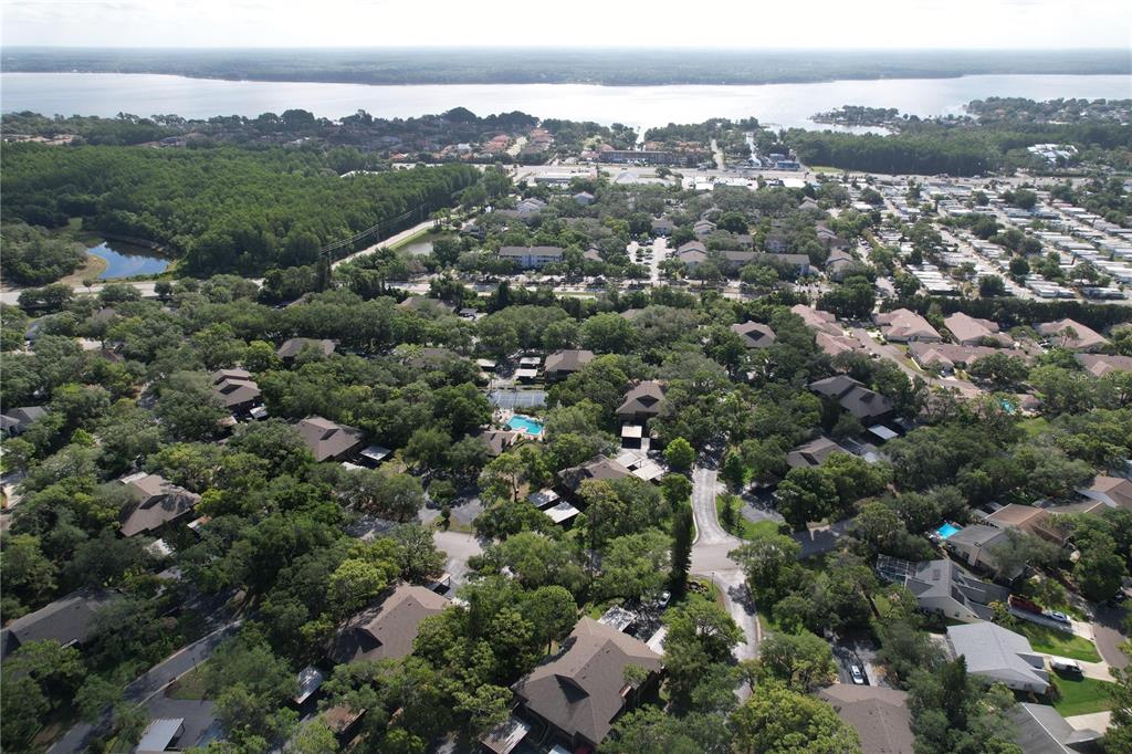 1006 Lennox Road West, Unit 1006 Palm Harbor, FL 34683 - Photo 42 of 44