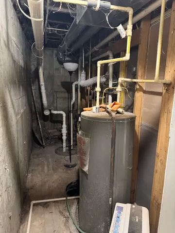 a house with a tree in front of it