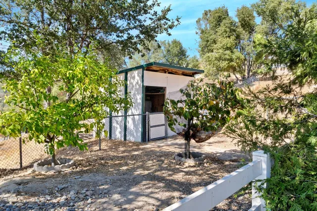 a view of a house with a tree