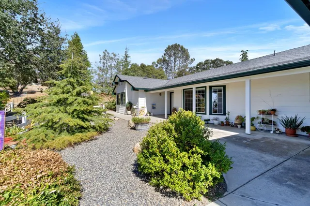 a front view of a house with a yard and potted plants