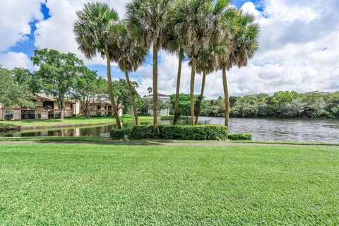 a view of a park and trees