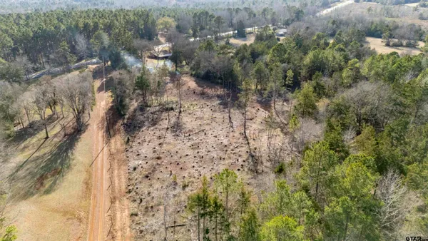 a view of a forest with trees