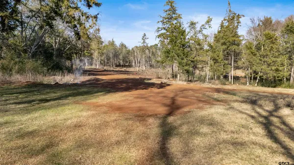 a view of dirt yard with a large tree