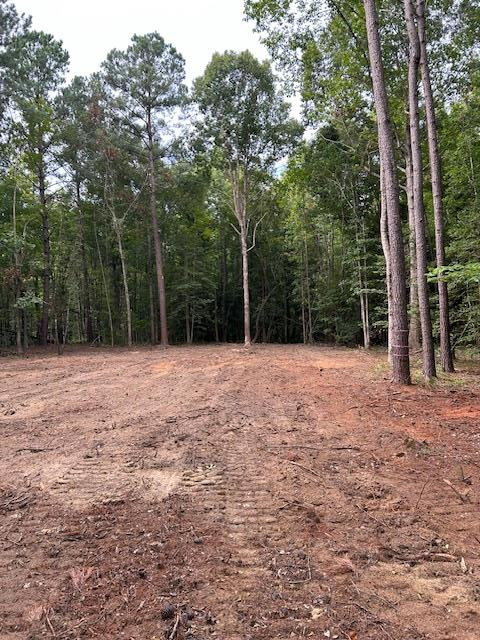 2580 Sargent Road, Unit LOT 3 Dalzell, SC 29040 - Photo 1 of 3 Gallery Image 1