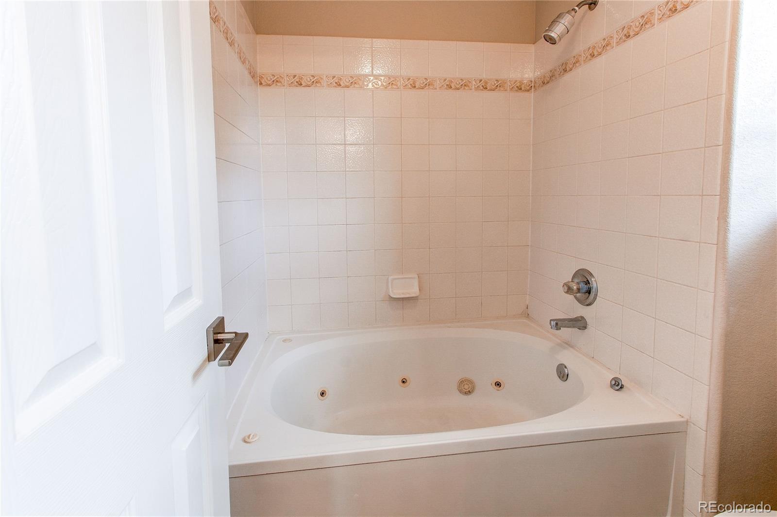 468 West English Sparrow Trail Highlands Ranch, CO 80129 - Photo 21 of 42