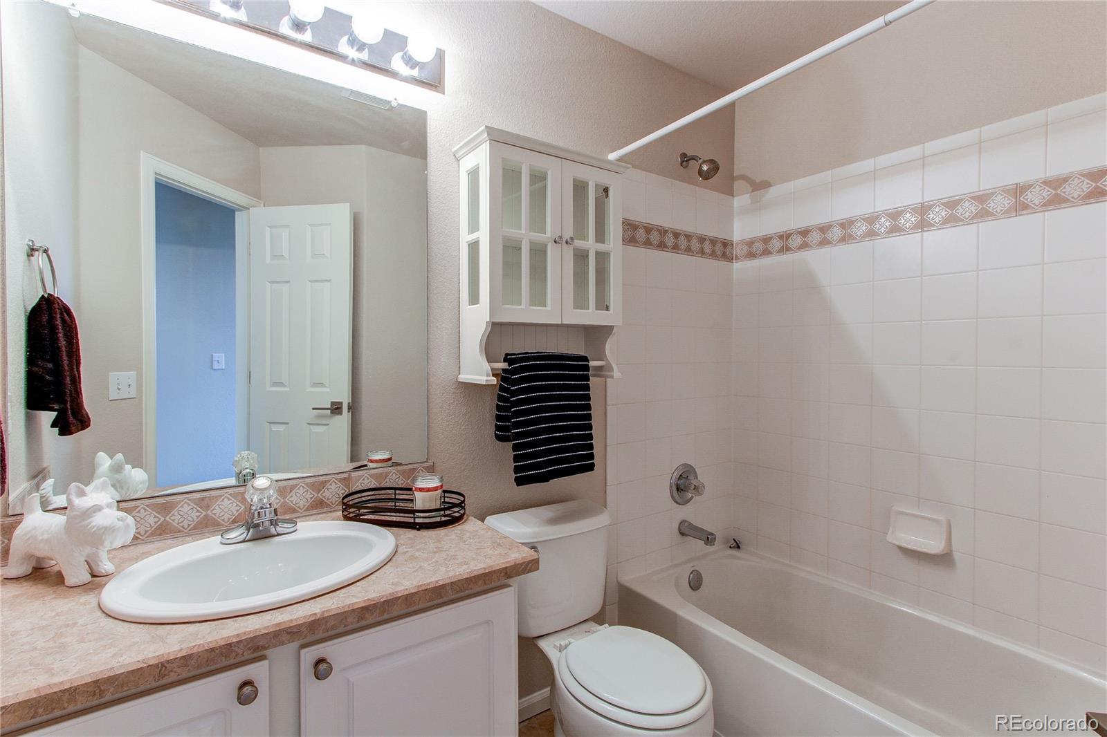 468 West English Sparrow Trail Highlands Ranch, CO 80129 - Photo 26 of 42