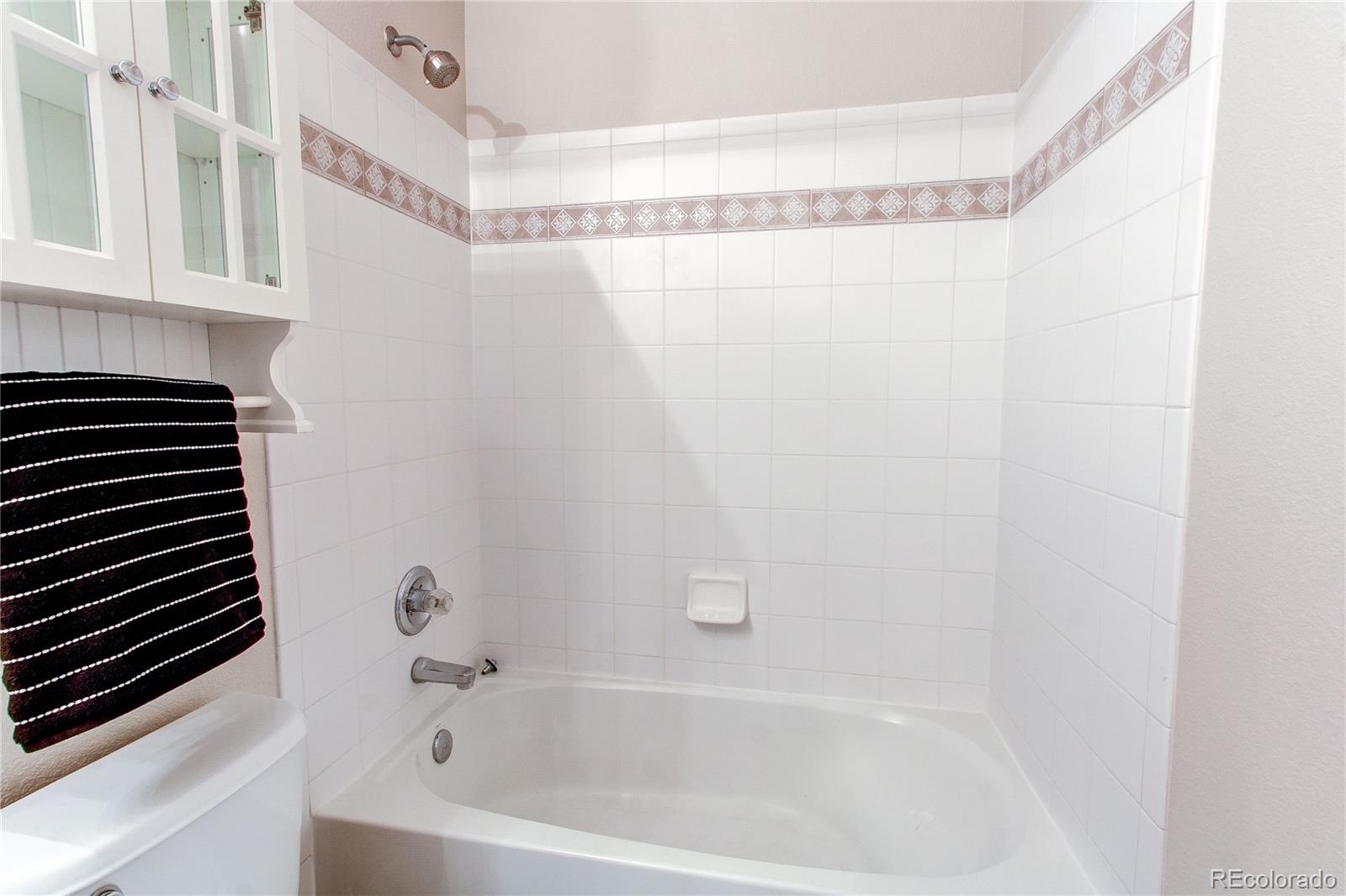 468 West English Sparrow Trail Highlands Ranch, CO 80129 - Photo 27 of 42