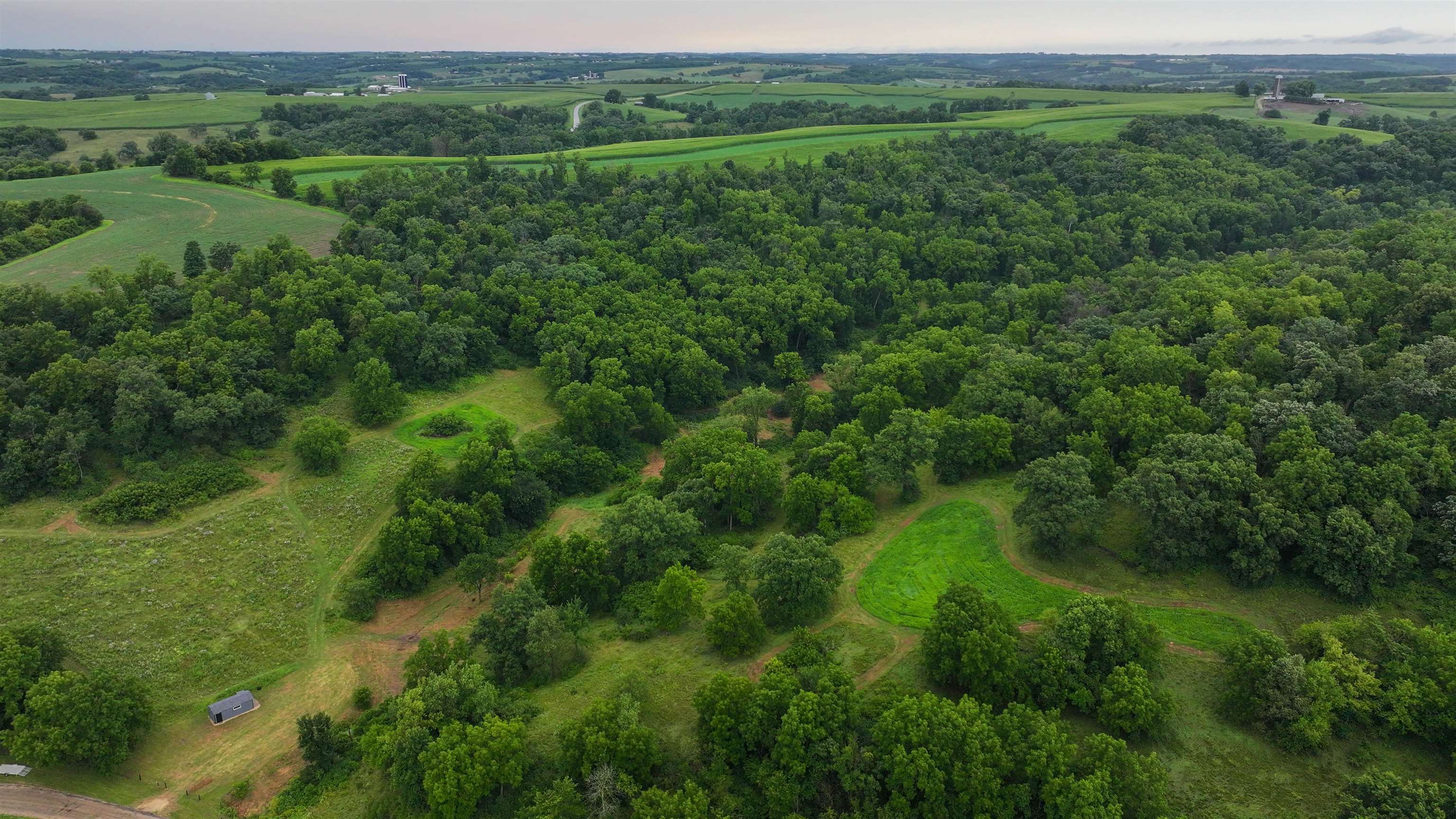75-acres Cannon Road Lancaster, WI 53813 - Photo 23 of 59