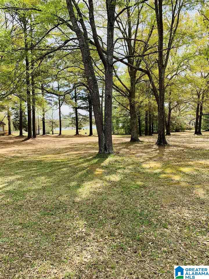 0 Carleton Point, Unit 10 Wilsonville, AL 35186 - Photo 7 of 14