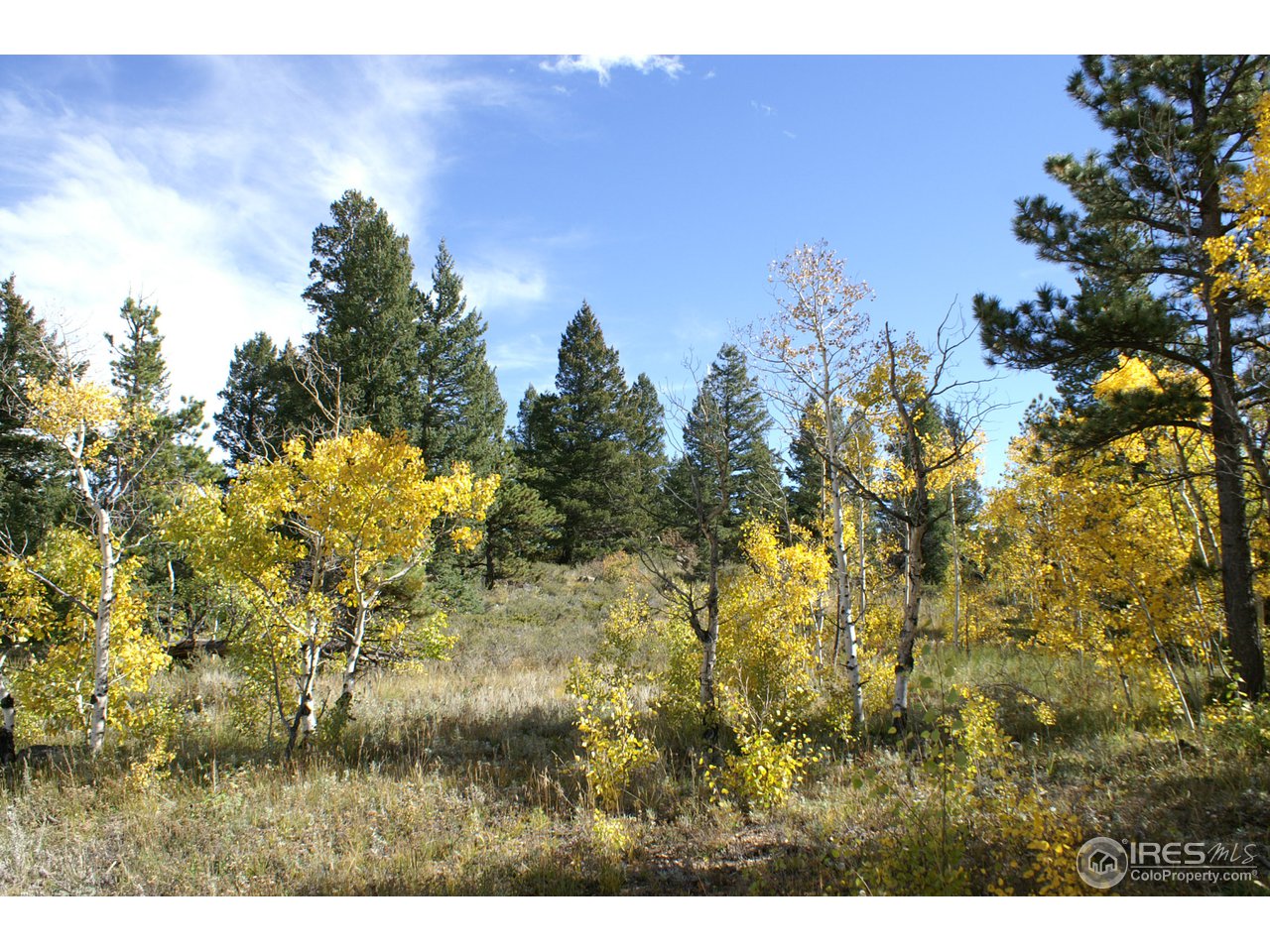 820 Thunder Ridge Road South Nederland, CO 80466 - Photo 3 of 11 a view of a yard
