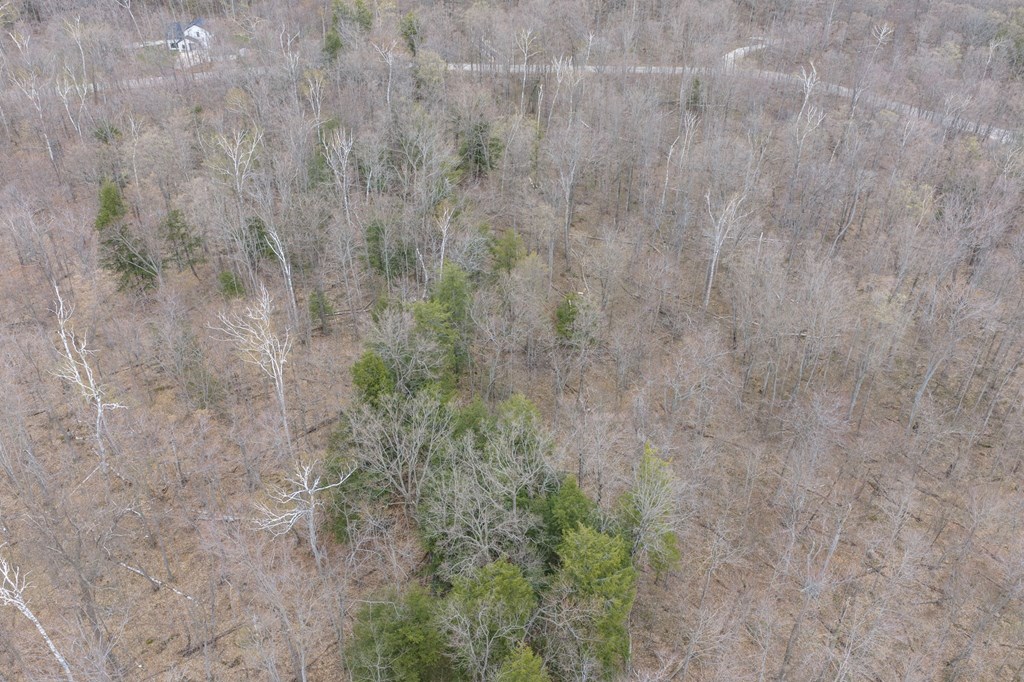 Lot 2 Cottage Road Ellison Bay, WI 54210 - Photo 21 of 30