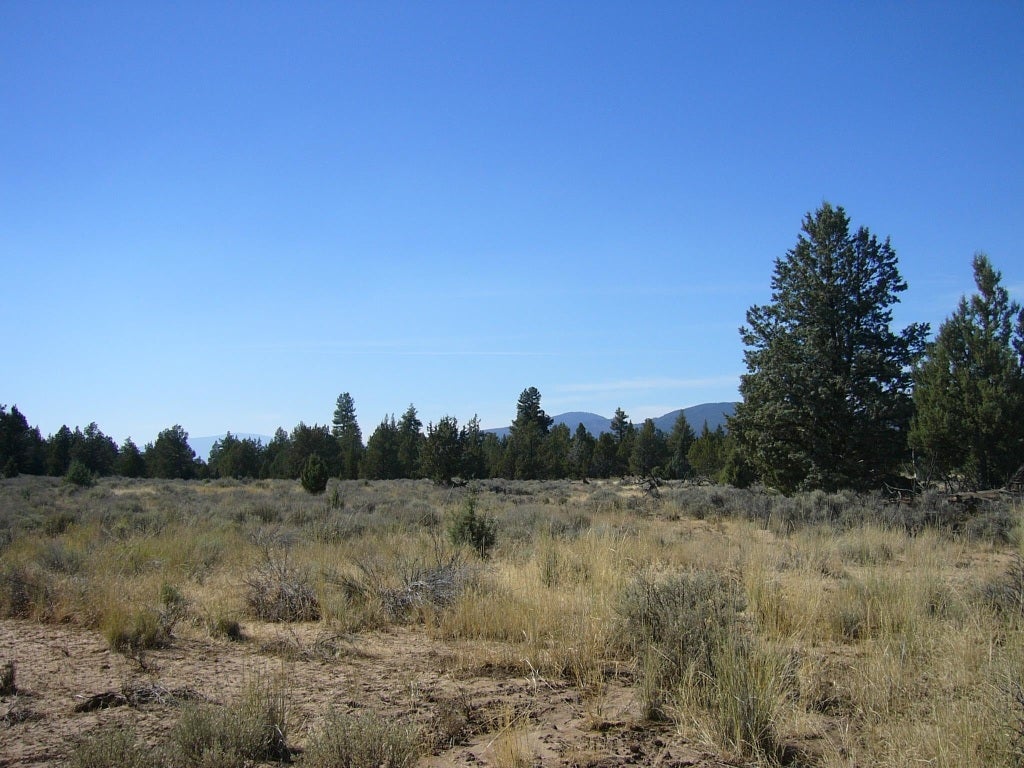 640 Acres Red Rock Road Macdoel, CA 96058 - Photo 22 of 24 Gallery Image 22