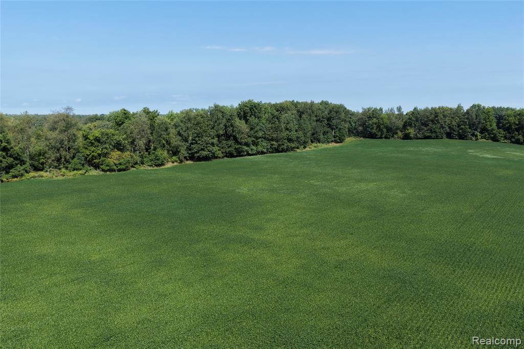 5889 North Allen Road Allen, MI 49227 - Photo 7 of 8 Gallery Image 7