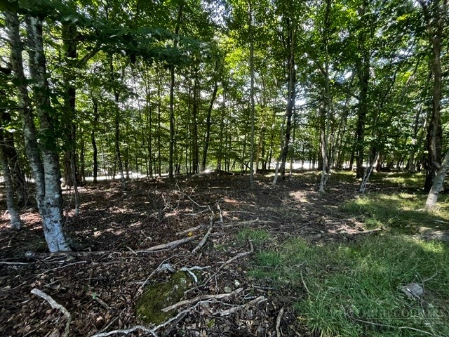 208 Pine Ridge Road Beech Mountain, NC 28604 - Photo 9 of 10 Gallery Image 9
