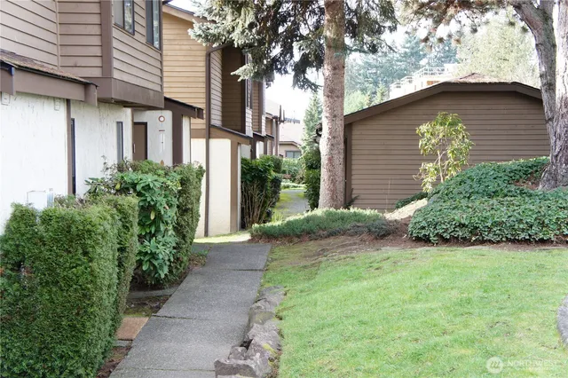 a backyard of a house with plants and large tree