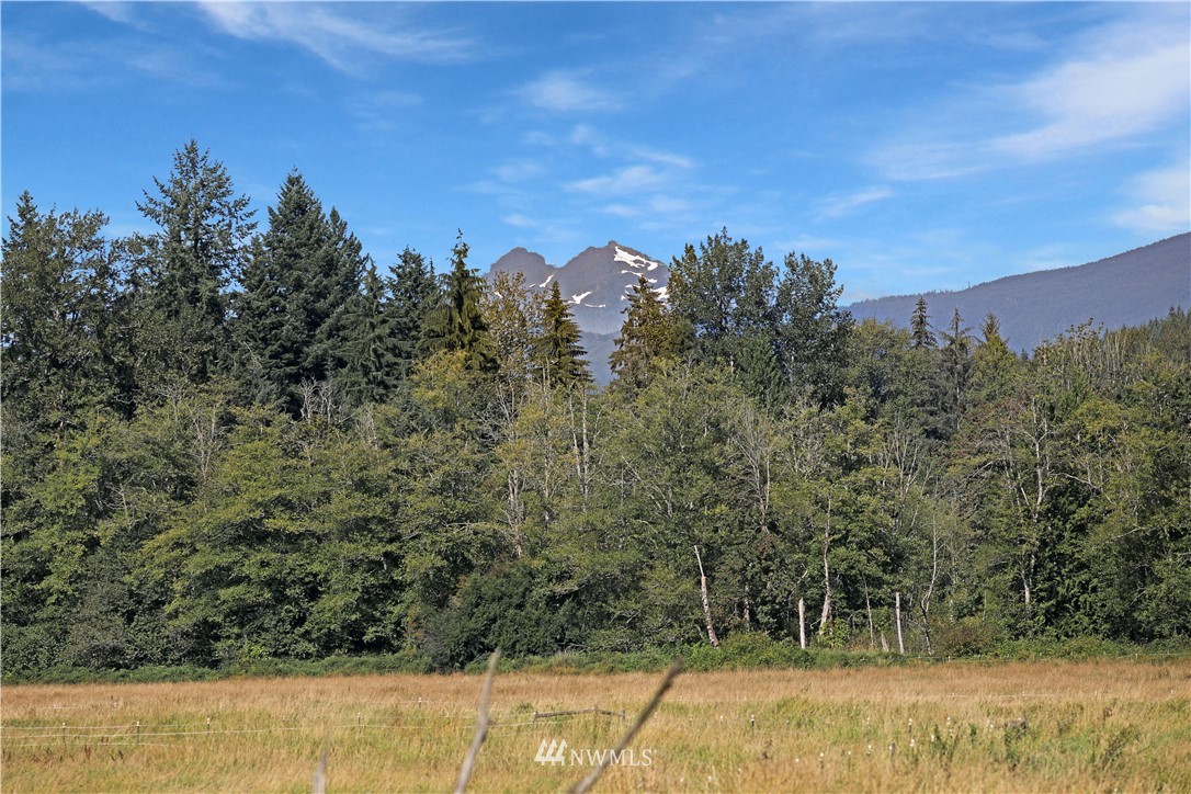 2501 Connors Road Snohomish, WA 98290 - Photo 4 of 40 a view of a yard with trees in the background
