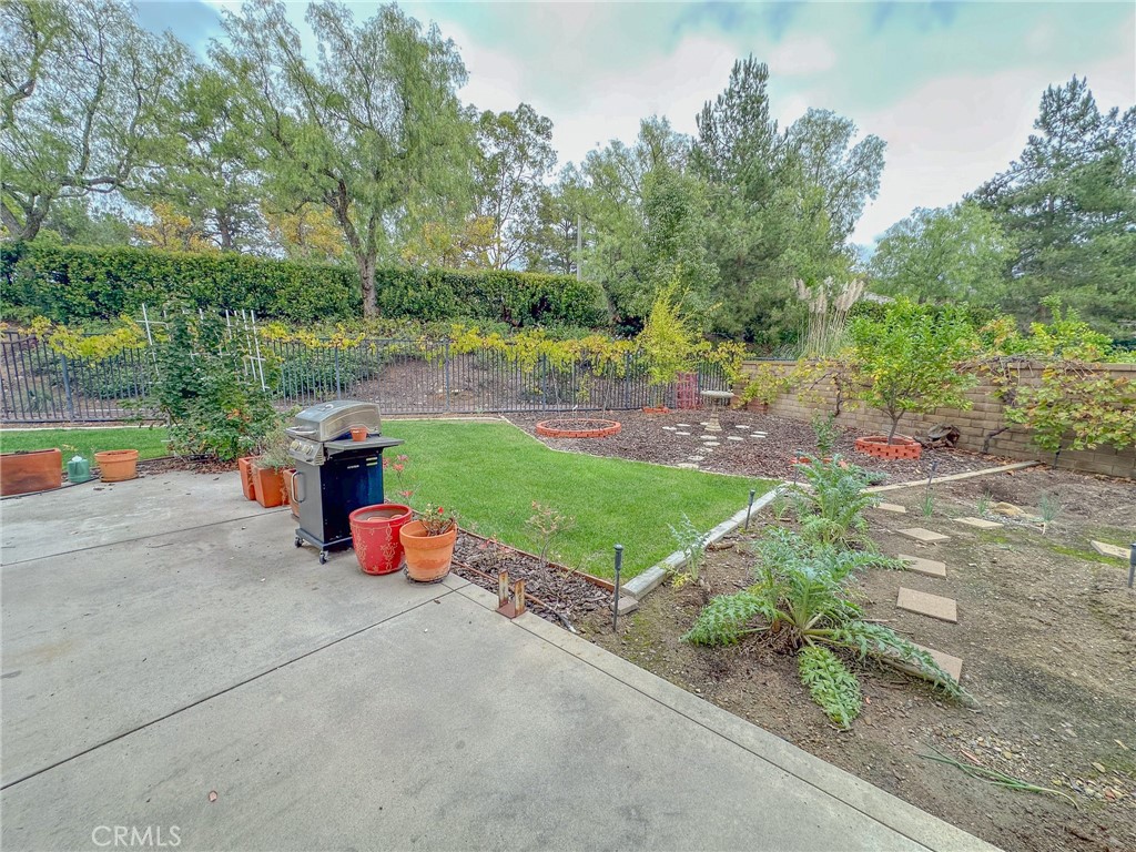 31785 Vía Del Viento Trabuco Canyon, CA 92679 - Photo 29 of 50 an outdoor view of the garden