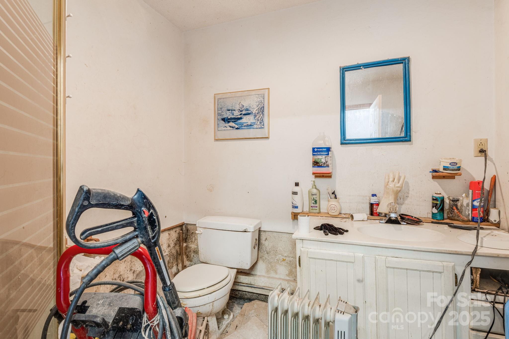 5389 Cascade Lake Road Cedar Mountain, NC 28718 - Photo 14 of 39 a bathroom with a sink toilet and a mirror