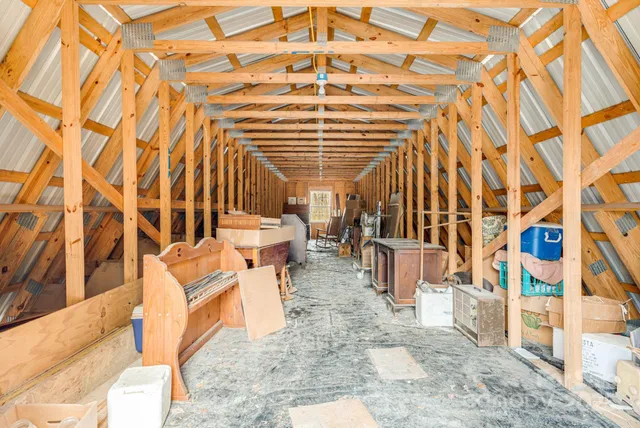 a view of a forest with lots of trees