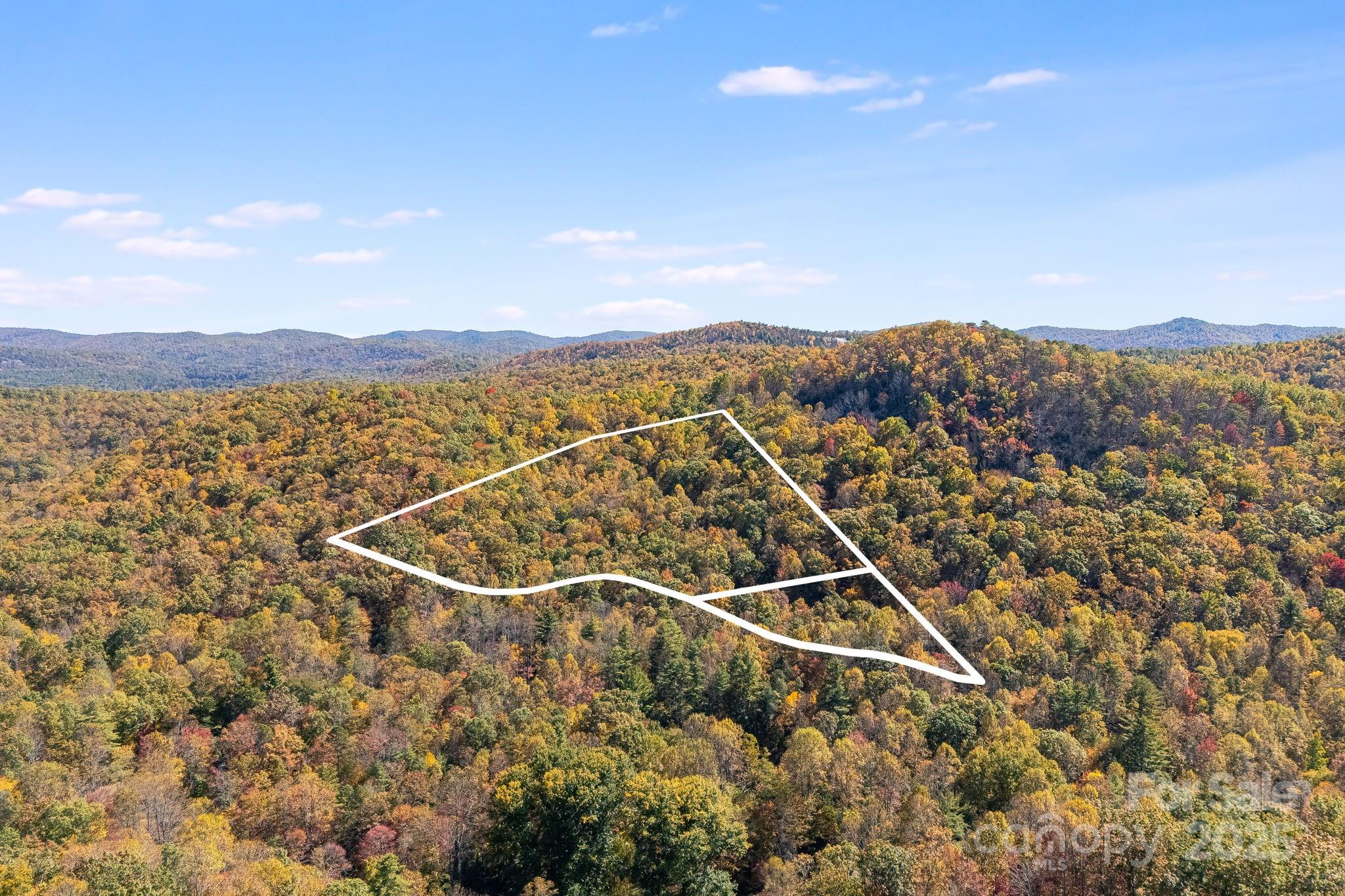 5389 Cascade Lake Road Cedar Mountain, NC 28718 - Photo 19 of 39 a view of a city