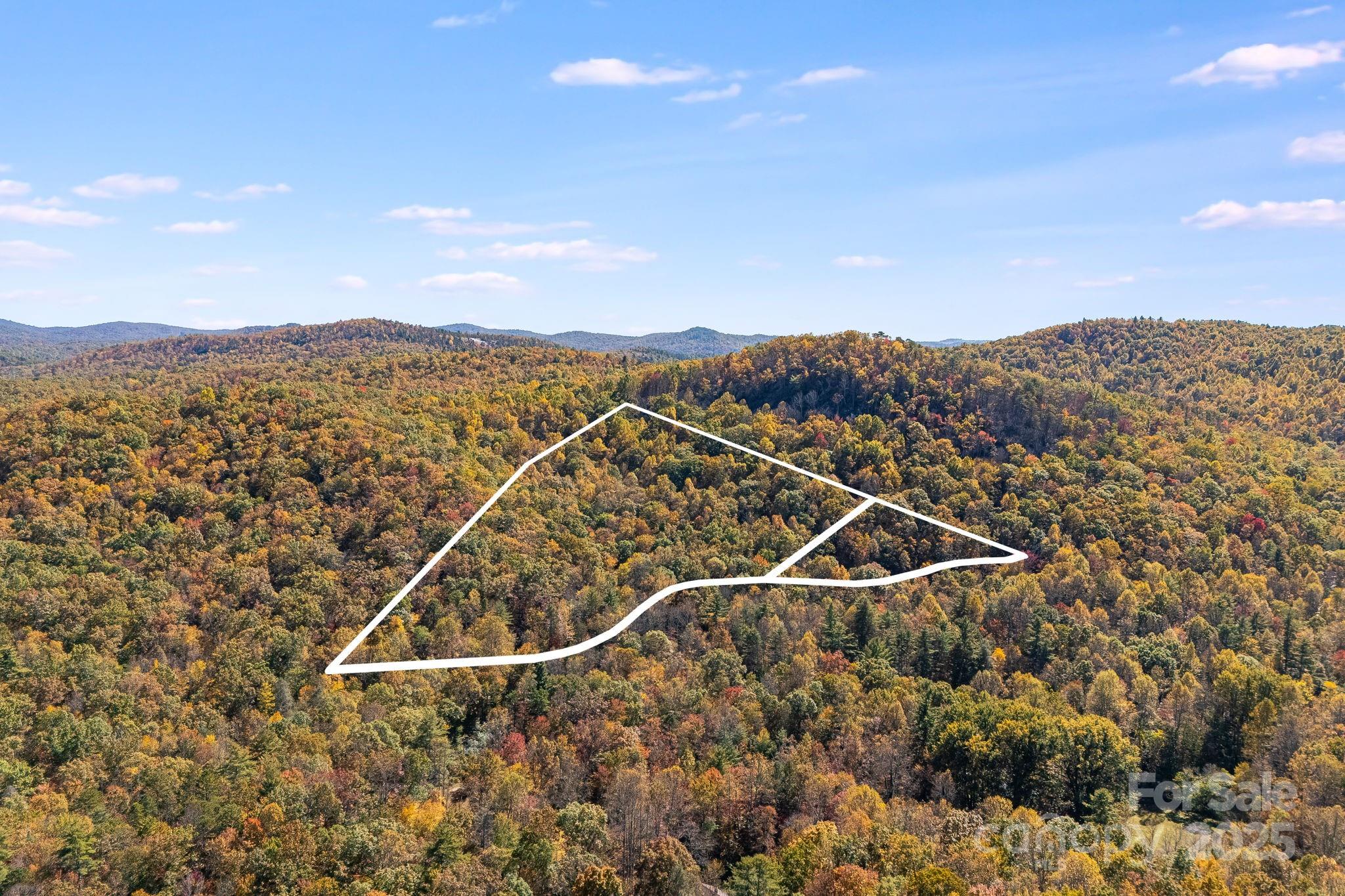 5389 Cascade Lake Road Cedar Mountain, NC 28718 - Photo 20 of 39 a view of a city