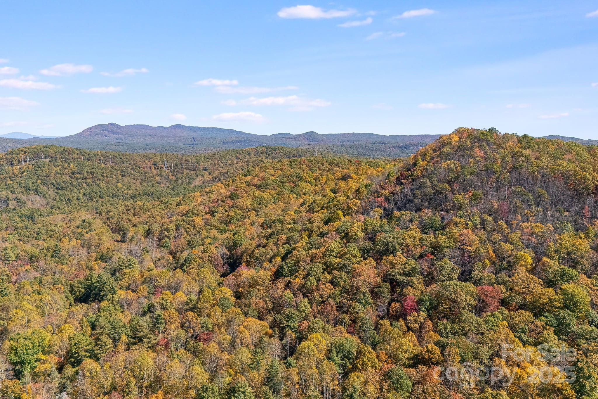 5389 Cascade Lake Road Cedar Mountain, NC 28718 - Photo 22 of 39 a view of a and a yard