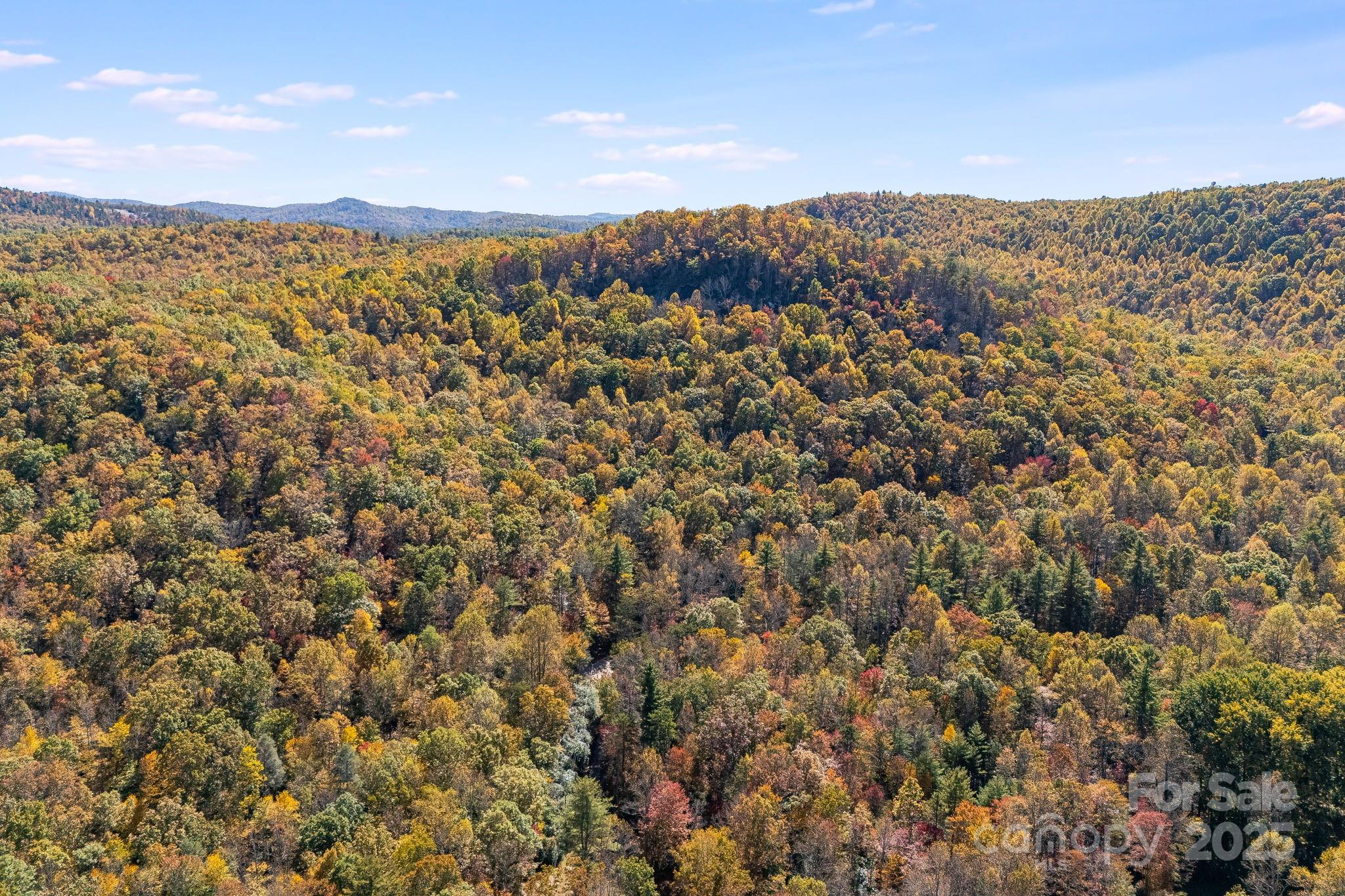 5389 Cascade Lake Road Cedar Mountain, NC 28718 - Photo 23 of 39 a view of a city