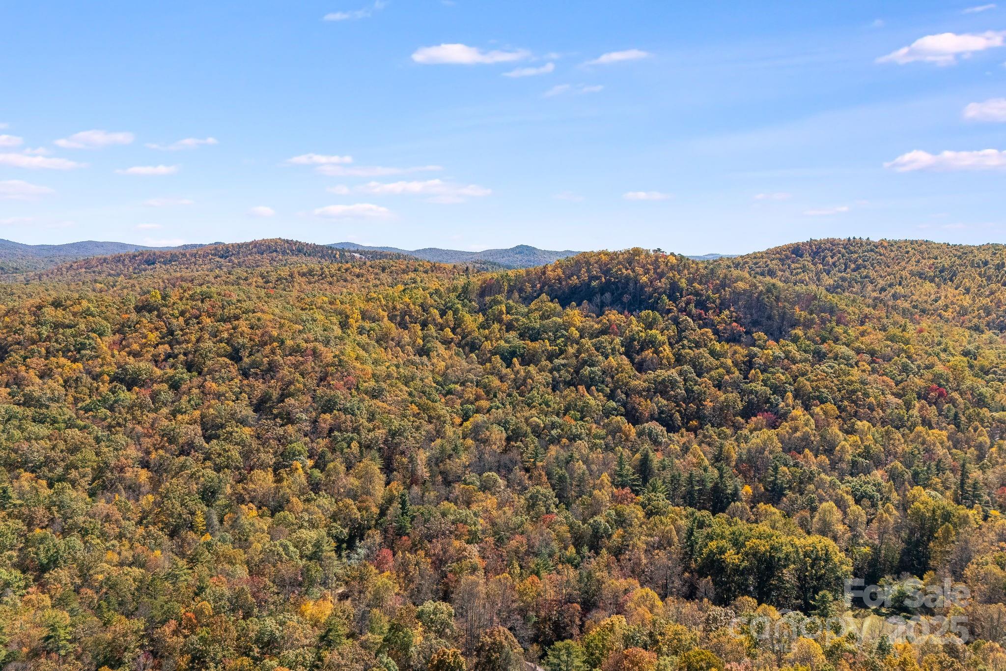 5389 Cascade Lake Road Cedar Mountain, NC 28718 - Photo 24 of 39 a view of a city