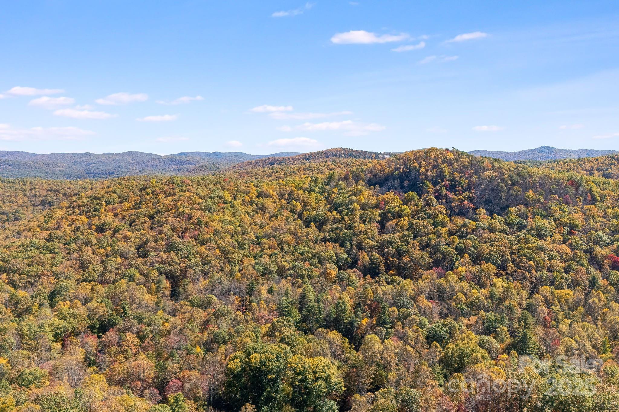 5389 Cascade Lake Road Cedar Mountain, NC 28718 - Photo 26 of 39 a view of a city with mountains in the background