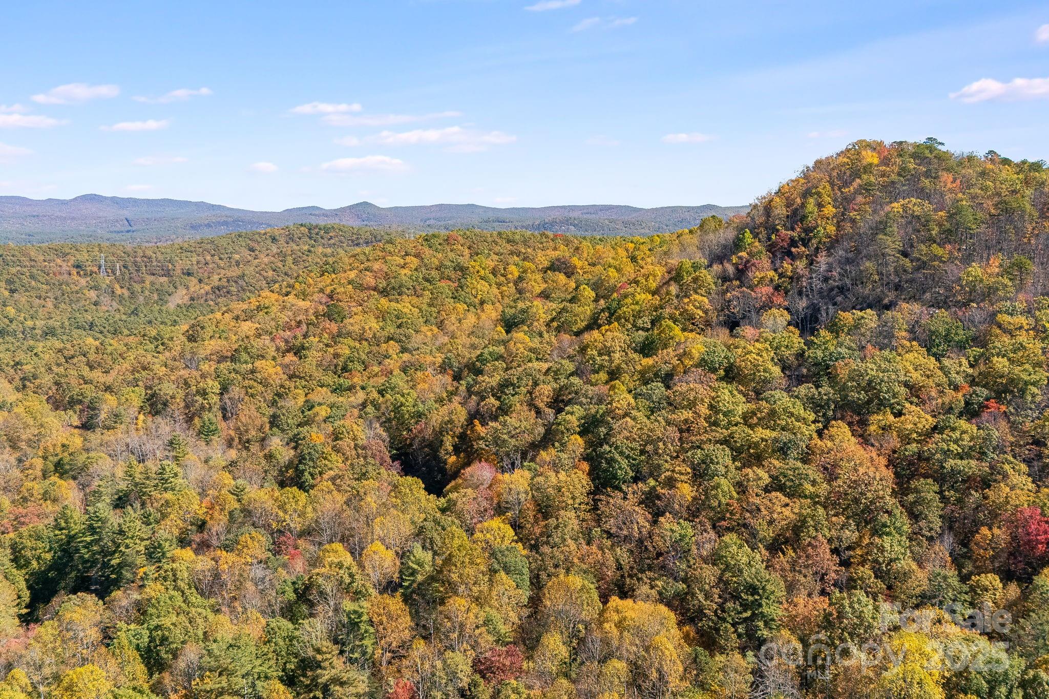 5389 Cascade Lake Road Cedar Mountain, NC 28718 - Photo 27 of 39 a view of an ocean