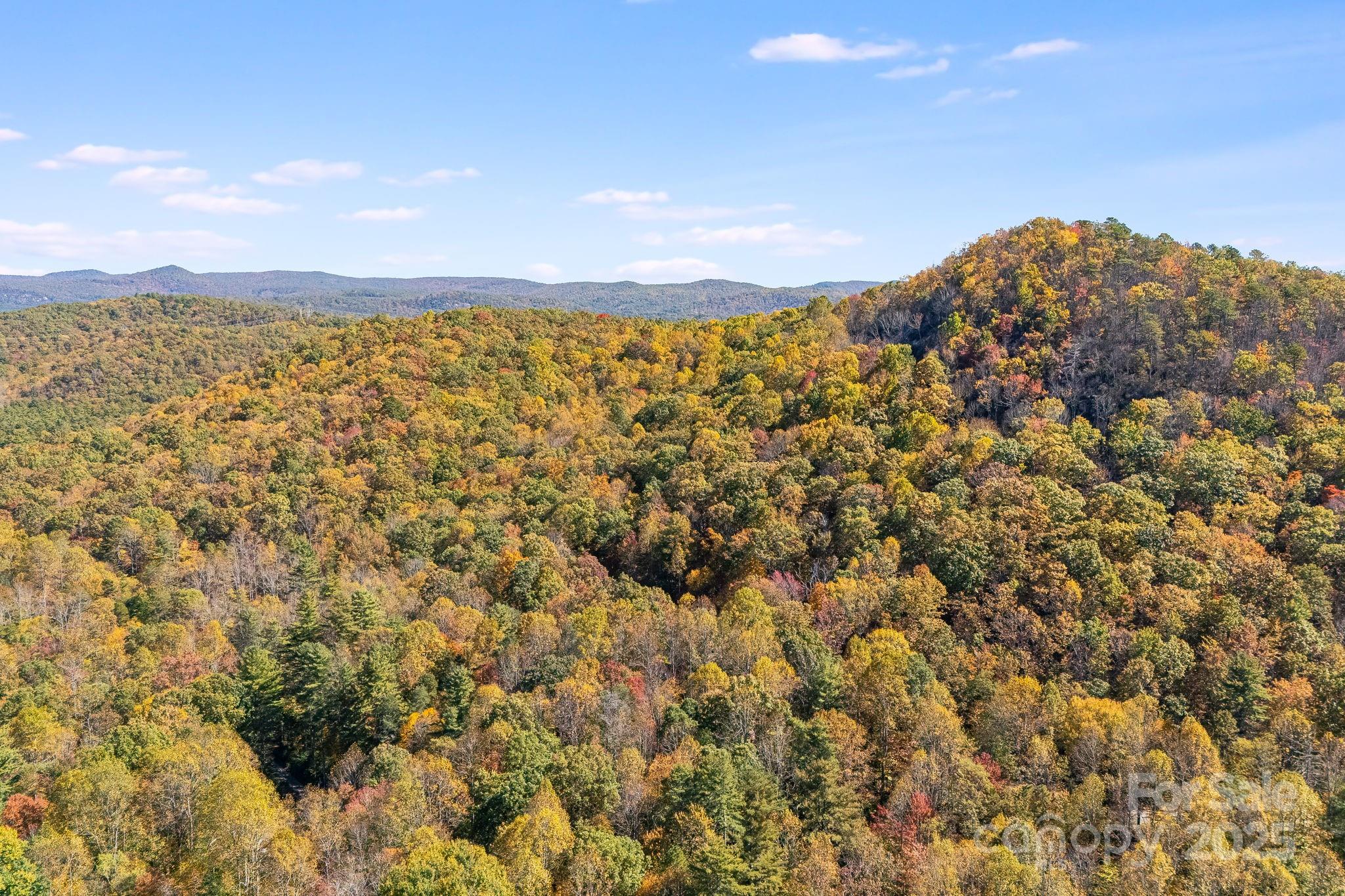 5389 Cascade Lake Road Cedar Mountain, NC 28718 - Photo 28 of 39