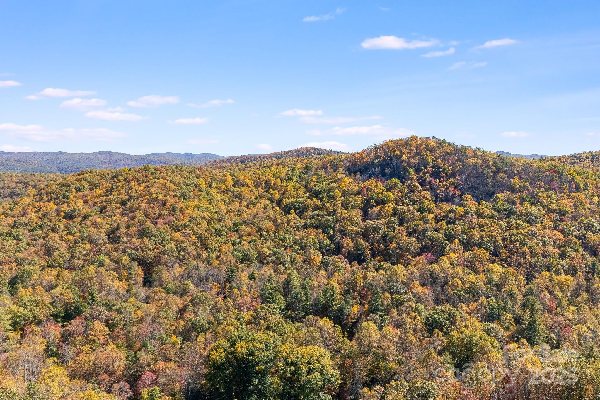 5389 Cascade Lake Road Cedar Mountain, NC 28718 - Photo 29 of 39 a view of a city