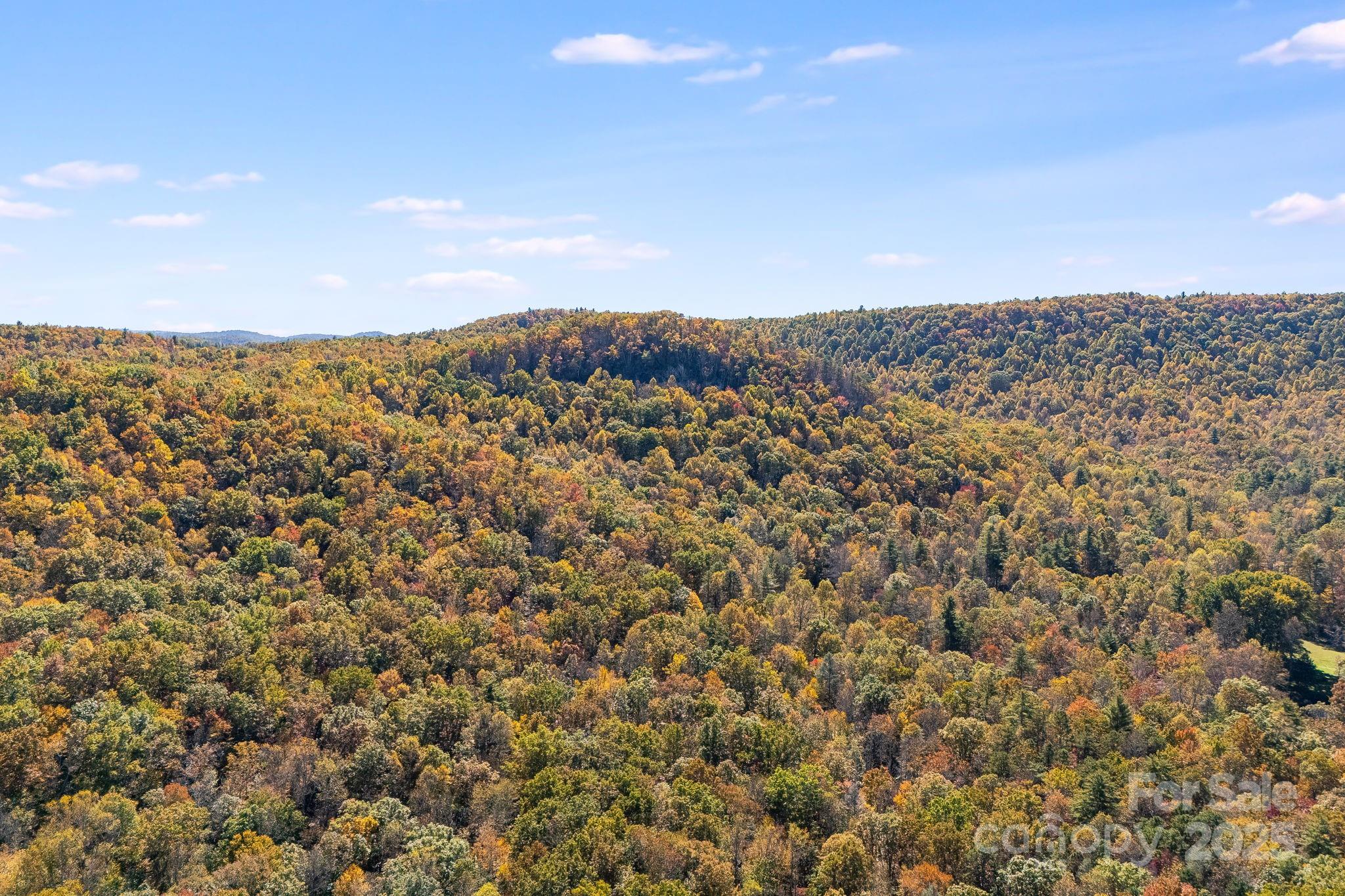 5389 Cascade Lake Road Cedar Mountain, NC 28718 - Photo 30 of 39 a view of a city