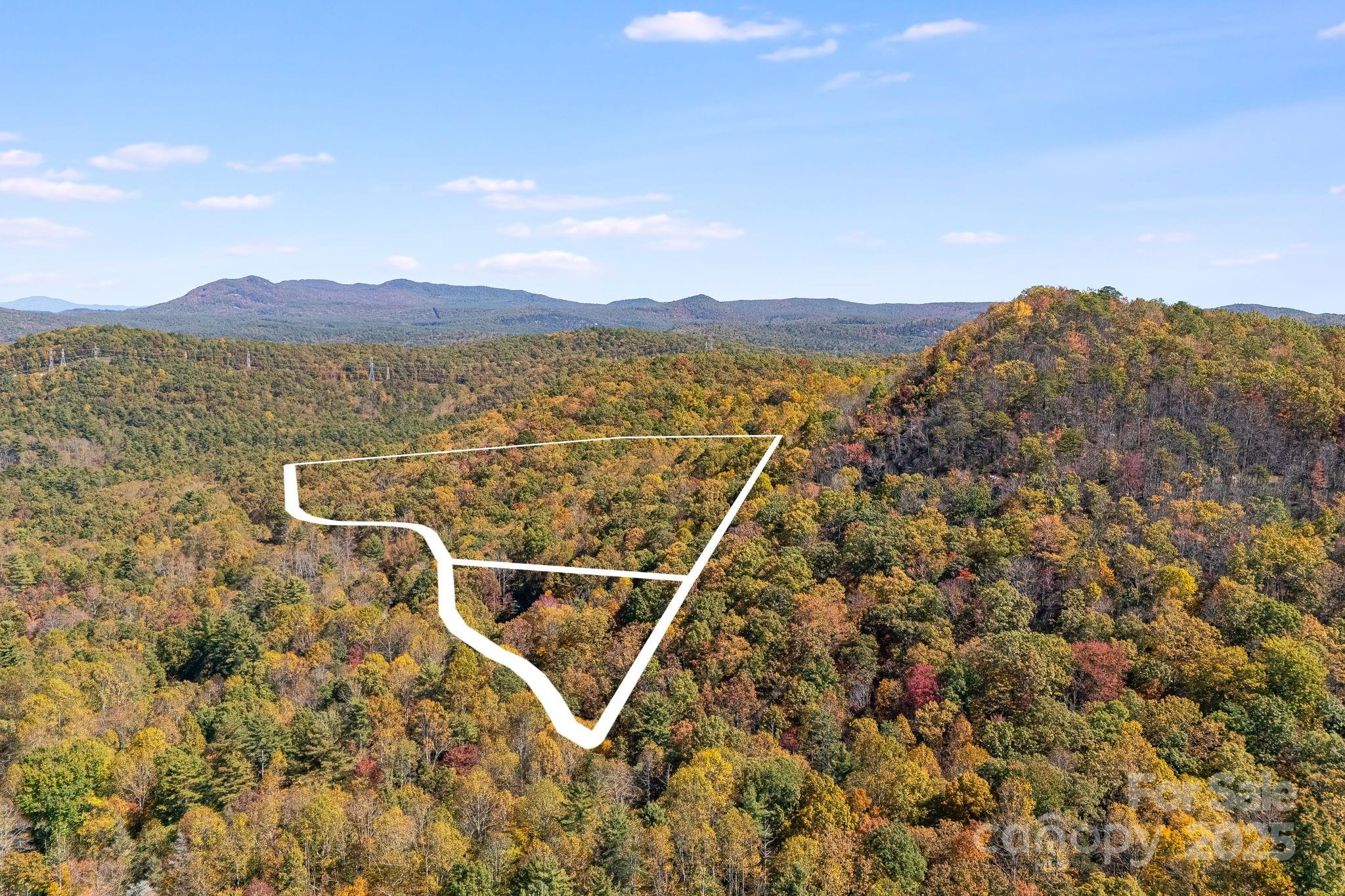 5389 Cascade Lake Road Cedar Mountain, NC 28718 - Photo 3 of 39 a view of a lake with a mountain